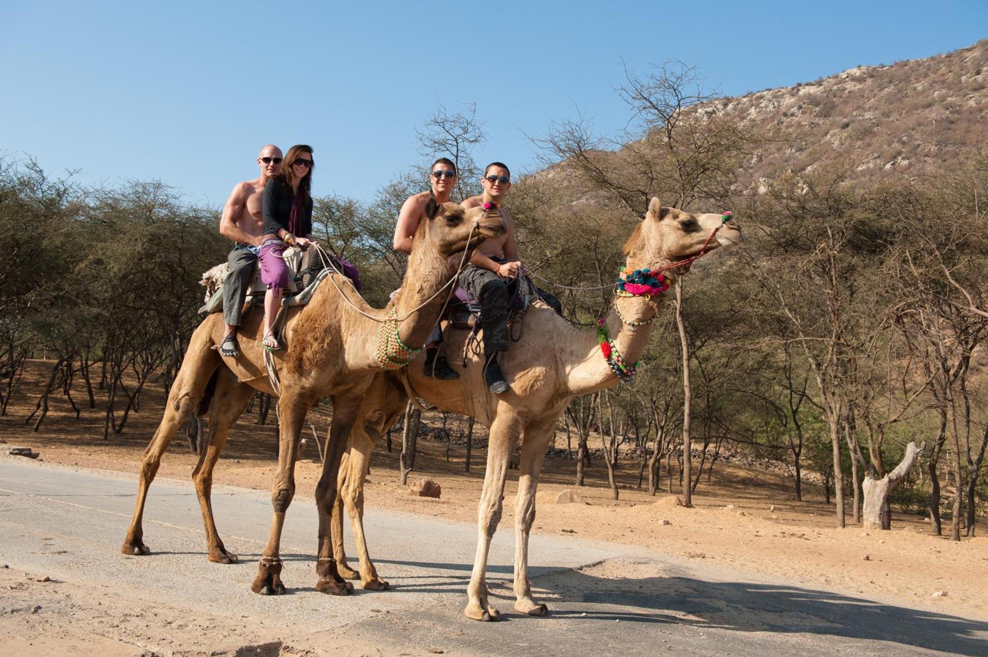 Aaram Baagh Pushkar By Pachar Group Otel Dış mekan fotoğraf